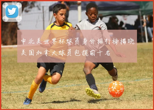 中北美世界杯球员身价排行榜揭晓美国加拿大球员包揽前十名